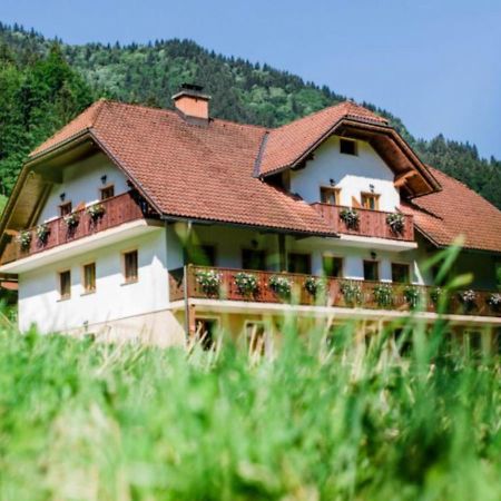 Solčava Country House - Turisticna Kmetija Ambroz Gregorcヴィラ エクステリア 写真